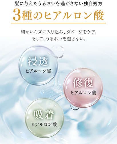 KAMIKAクリームシャンプー,3種のヒアルロン酸