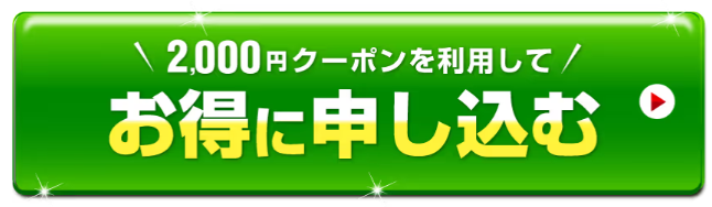 STEP1：アンサードEX7の公式サイトにアクセスする