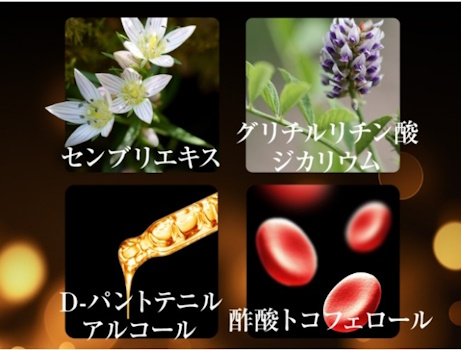 nanosiv（ナノシヴ）成分-1