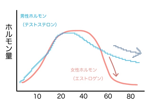 女性特有の薄毛・抜け毛の原因,発毛剤,女性,ランキング