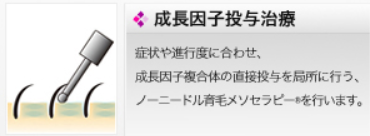 成長因子投与治療,銀座総合美容クリニックaga,診断