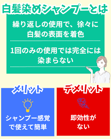 白髪染めシャンプー,おすすめ,特徴
