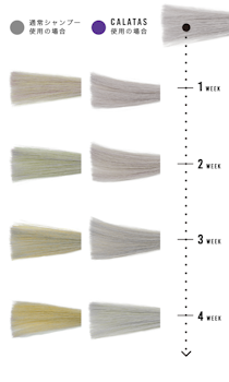 CALATAS｜カラタスシャンプーヒートケアPr