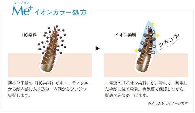 Me+(ミープラス)スカルプカラーシャンプー,イオンカラー処方で「髪育」できる