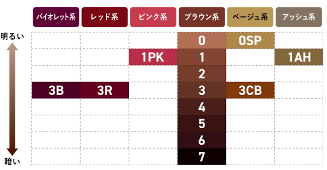 ブローネ-泡カラーカラーバリエーション