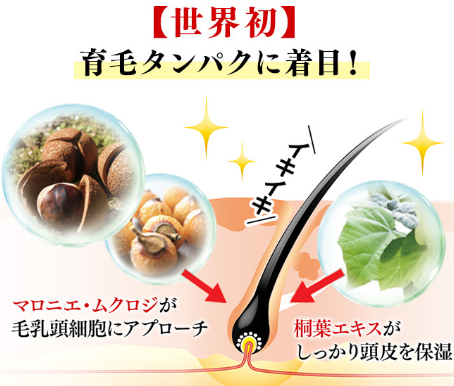リリィジュ,育毛タンパク