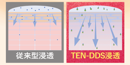 独自開発の高速浸透技術