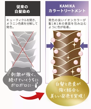 KAMIKA白髪染めトリートメント,染める仕組み