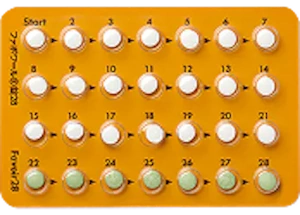 ファボワール28錠