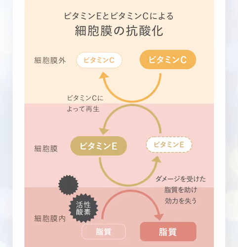 ホワイトルマン,効果2