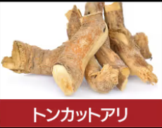 百凱王,トンカットアリ