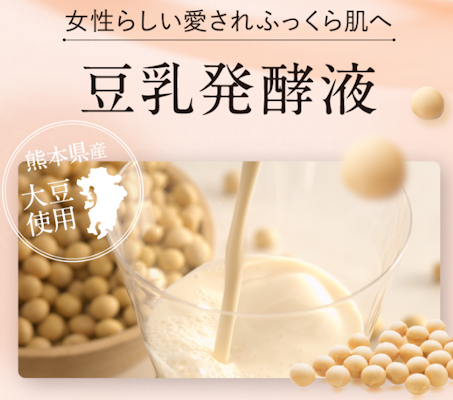 インナーブラン,豆乳発酵液