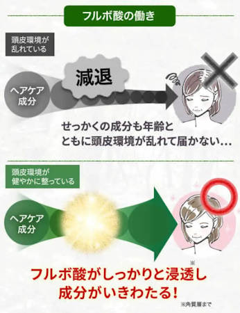 リジュン,フルボ酸