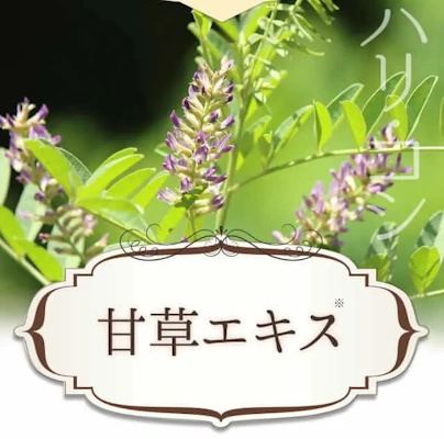 リジュン,甘草エキス