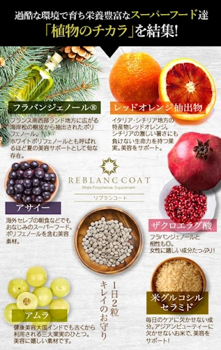 リブランコート,口コミ,スーパーフード