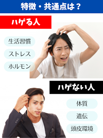 ハゲ,原因,ハゲない人