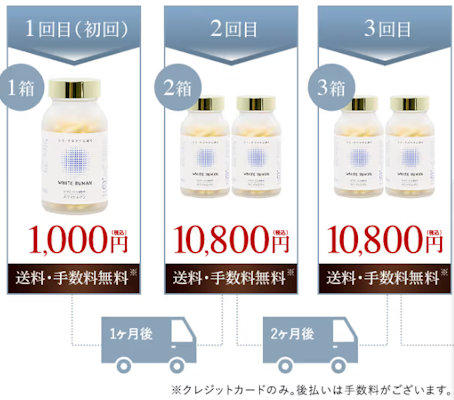 ホワイトルマン,定期