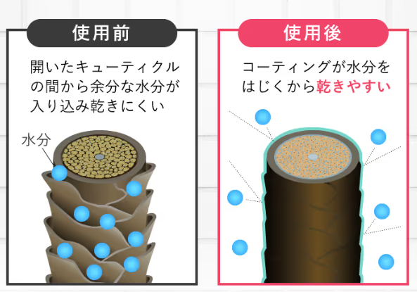 リシリアフレルカラーシャンプー,口コミ,ドライヤー