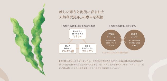 リシリアフレルカラーシャンプー,口コミ,昆布成分