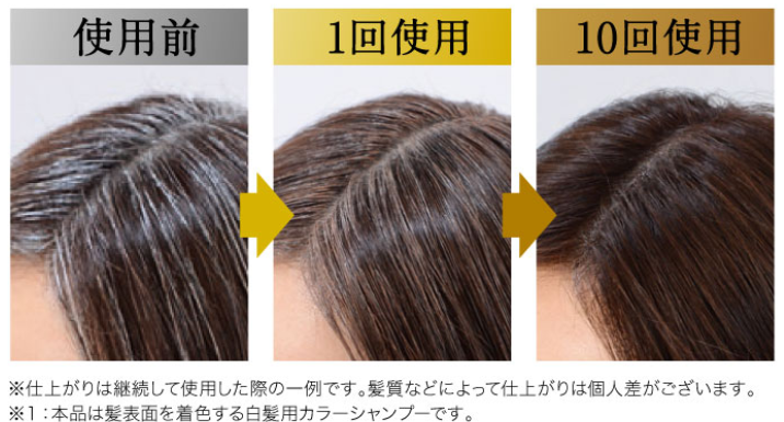 利尻炭酸カラーシャンプー