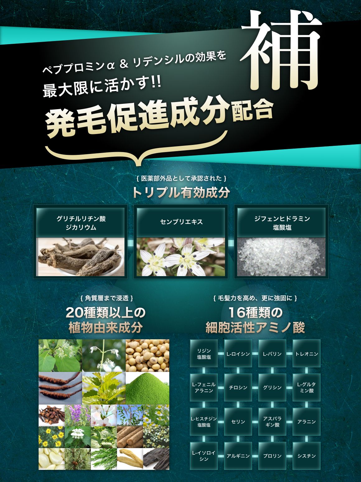 発毛促進成分配合